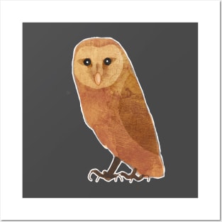 Owl Posters and Art